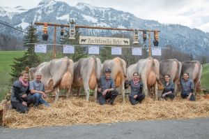 ZF Blooming BIRKE Waser Markus Kerns A92
